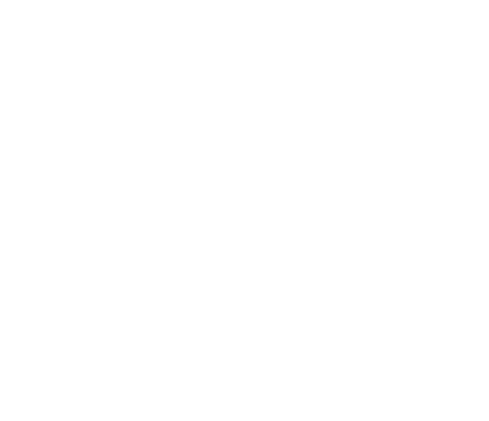 BENLOC_Strichzeichnung_Schnellspanner_1c_RZ image